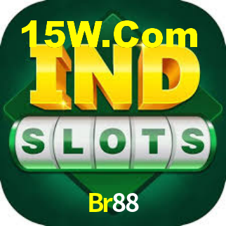 Br88 App Interface