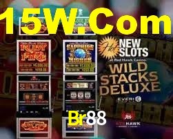 Premium Interface Br88